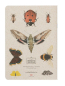 Preview: BRIGITTE BALDRIAN Notizheft Insektenparadies 2