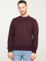 Preview: RECOLUTION Sweatshirt Tamarillo dark plum 2