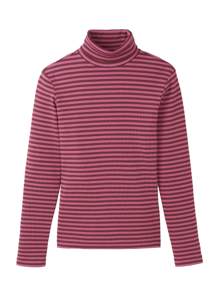 RECOLUTION Rib Longsleeve Liatris Stripes dark plum 5