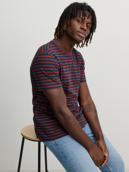 Preview: RECOLUTION T-Shirt Delonix Stripes dark plum 2