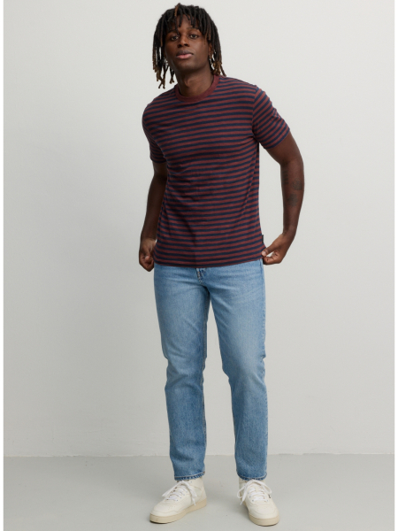 Preview: RECOLUTION T-Shirt Delonix Stripes dark plum 3