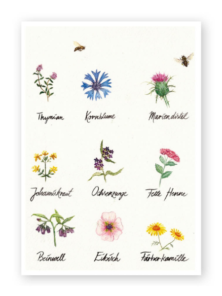 BRIGITTE BALDRIAN Postkarte Bienenparadies