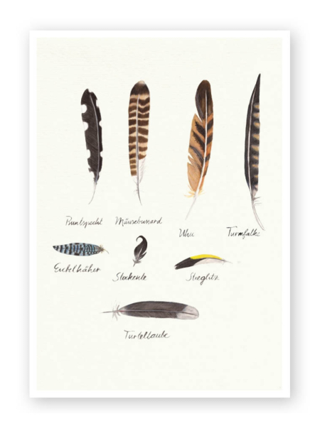 BRIGITTE BALDRIAN Postkarte Federschmuck