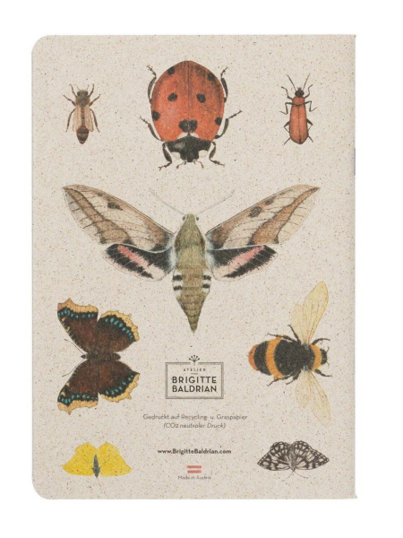 BRIGITTE BALDRIAN Notizheft Insektenparadies 2