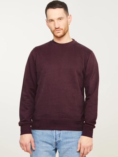 RECOLUTION Sweatshirt Tamarillo dark plum 2