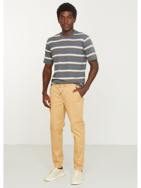 RECOLUTION T-Shirt Epazote Stripes dark grey 4