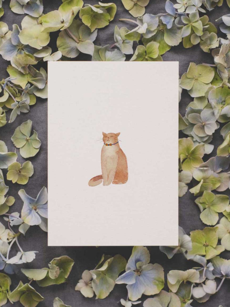 TUCÁN Y LIMÓN Postkarte Katze 2