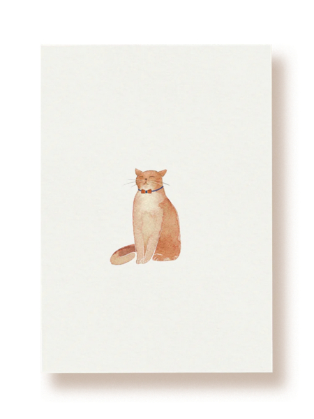 TUCÁN Y LIMÓN Postkarte Katze