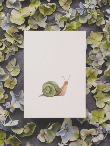 TUCÁN Y LIMÓN Postkarte Schnecke 2