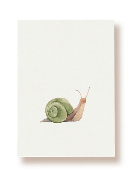 TUCÁN Y LIMÓN Postkarte Schnecke
